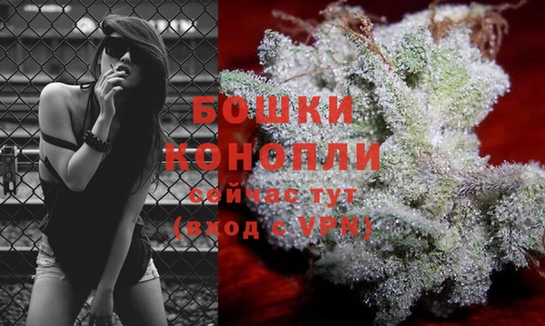 гидра Балабаново