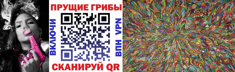 дарнет шоп Владивосток Псилоцибиновые грибы Magic Shrooms
